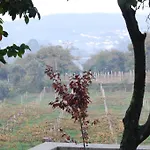 Casa Do Carvalho - Ponte de Lima