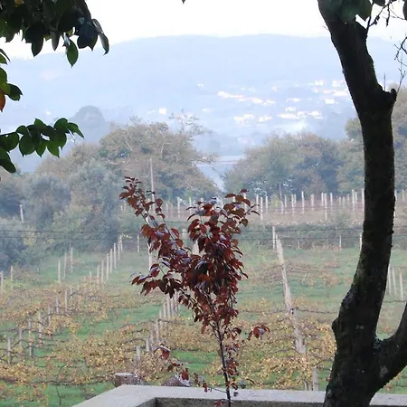 Casa Do Carvalho - Ponte de Lima