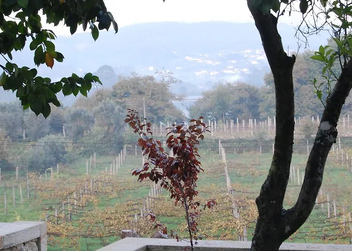 Casa Do Carvalho - Ponte de Lima