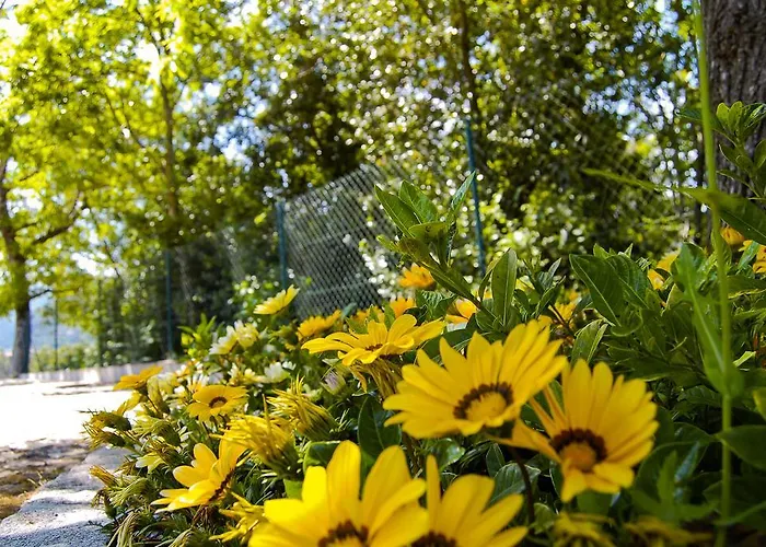 Appartement Casa Do Carvalho - Ponte de Lima